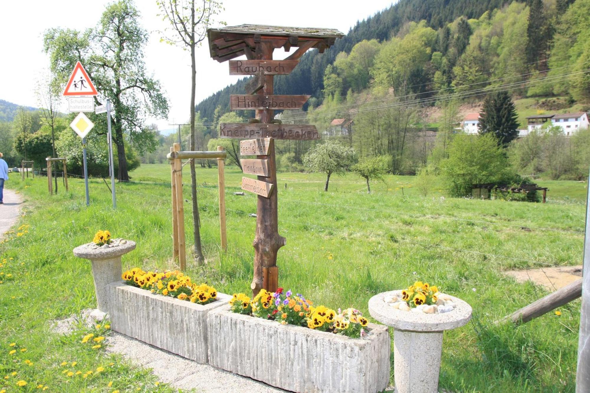 Gasthof Zur Traube Finkenbach Экстерьер фото