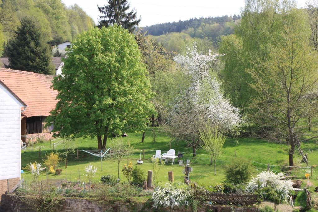 Gasthof Zur Traube Finkenbach Номер фото